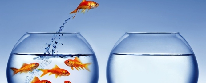 Os 7 passos para sua gráfica decolar